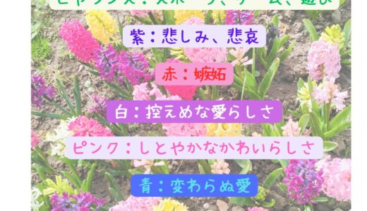 【Ep.58】OVER THE SUNタイムスタンプ＆リンク集【自堕落じゃなくて、自然体なの、わたし。】